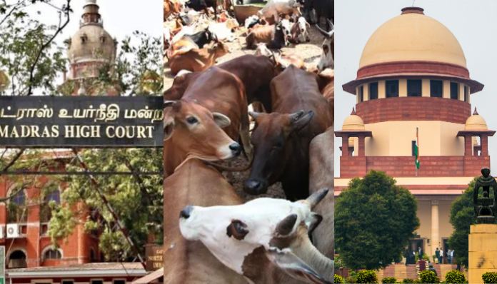 Tamil Nadu appeals to Supreme Court against Madras HC order on cow slaughter ban.