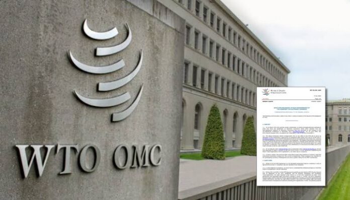 India objects to WTO e-commerce agreement bypassing consensus
