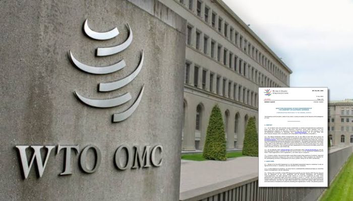 India objects to WTO e-commerce agreement bypassing consensus