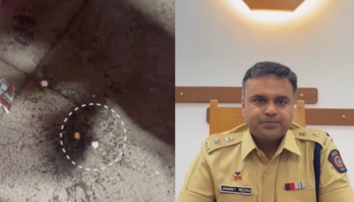 Danish Sher Khan was arrested for hurling eggs at the Ganpati procession in Mazgaon.