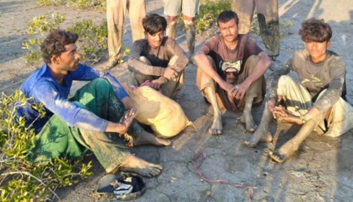 The fishermen have been identified as Kadir Thaimor, Muhammad Mussa, Azgar Thaimor and Ahsan Jat. All four are residents of Chach Jaan Khan village in Pakistan's Sindh province.