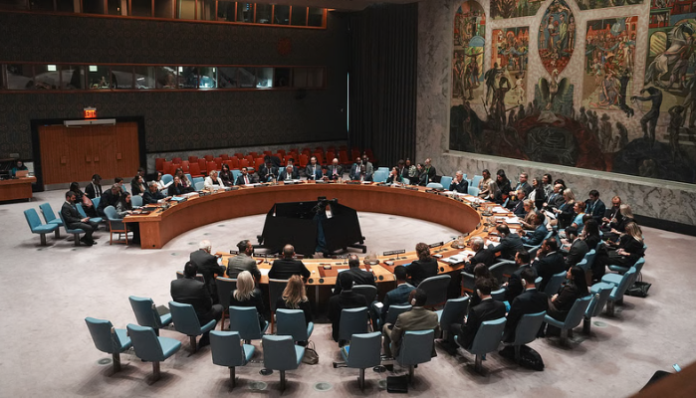 India says new permanent UNSC members without veto would be ‘second-class’, demands equal rights