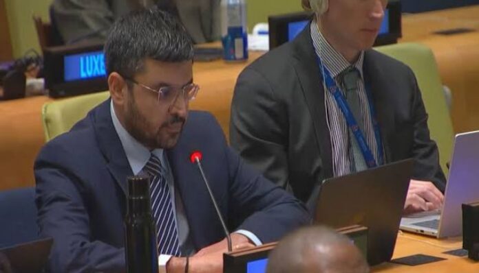 India embarrasses Pakistan at the UN with the 'Form 47 government' jibe: Know what it means and how the Pak Army stole the election from Imran Khan