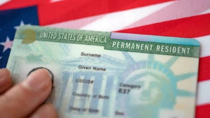 Microsoft green card programme